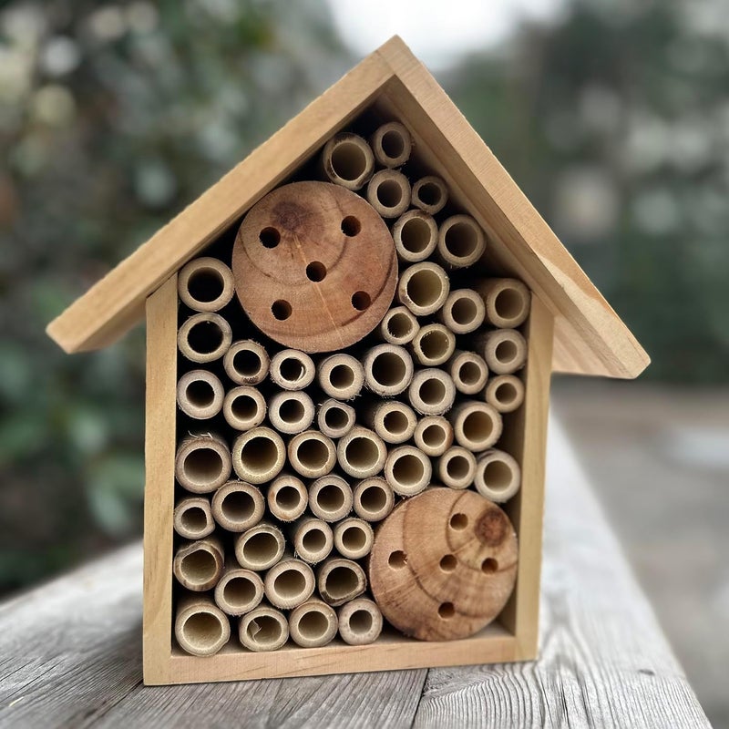 Engree Mason Bee Houses Outdoor Wooden Bee Hotel for Garden and Yard Hand-Made Bamboo Bee Hive for Bees Butterflies and Ladybugs, Medium Size 8"x7.5"x5", Natural Finish - Image 2